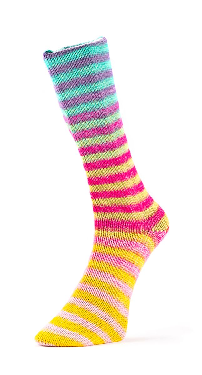 Laines du Nord – 6 Ply Paint Socks 150 g
