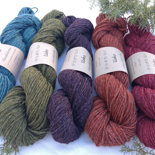 Vuonue Usko suomalainen sukkalanka 100g Paimiosta